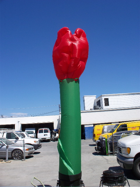 10' Red Rose