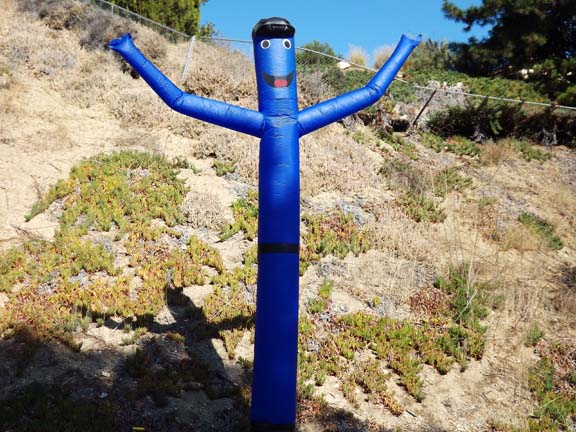 15' Blue airpuppet w/ hat